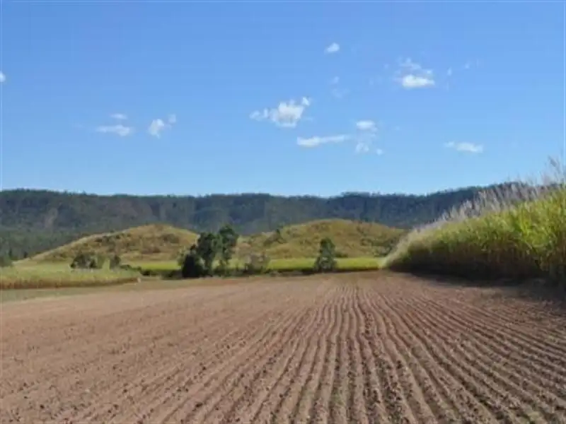Main view of Homely rural property listing, Lot 4 Gargett Mia Mia Road, Pinevale QLD 4754