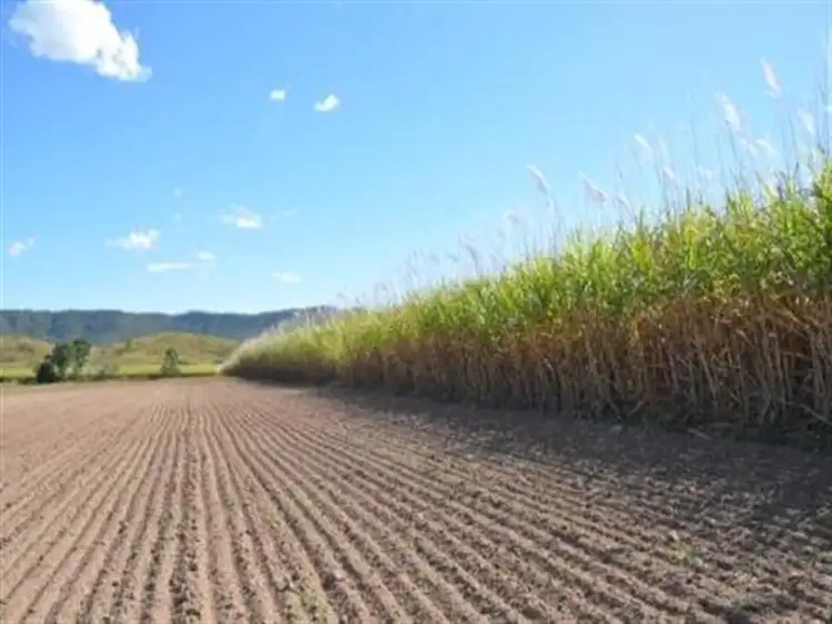 Second view of Homely rural property listing, Lot 4 Gargett Mia Mia Road, Pinevale QLD 4754