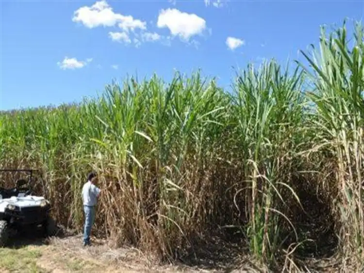 Fifth view of Homely rural property listing, Lot 4 Gargett Mia Mia Road, Pinevale QLD 4754