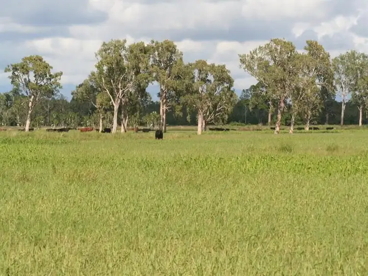 Main view of Homely rural property listing, 12072 Bruce Highway, Proserpine QLD 4800