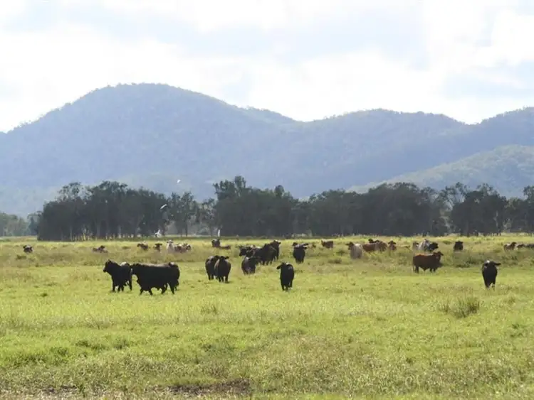 Third view of Homely rural property listing, 12072 Bruce Highway, Proserpine QLD 4800