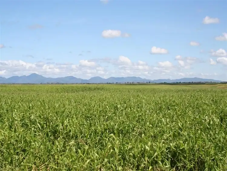 Fourth view of Homely rural property listing, 12072 Bruce Highway, Proserpine QLD 4800