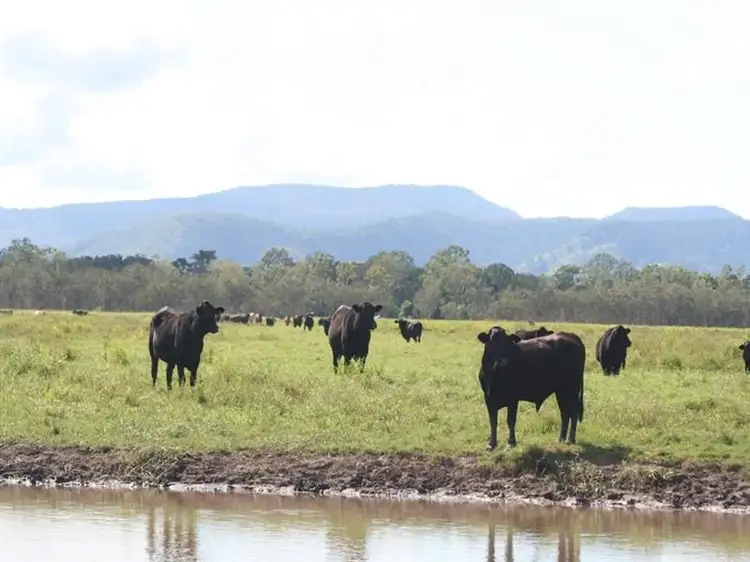 Fifth view of Homely rural property listing, 12072 Bruce Highway, Proserpine QLD 4800