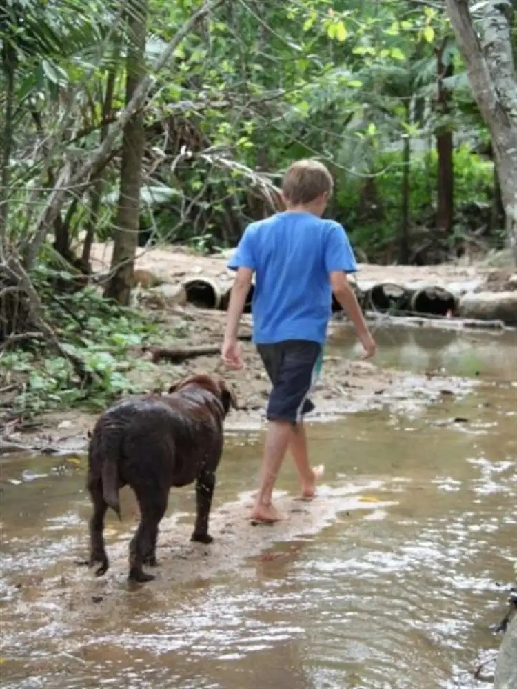 Seventh view of Homely rural property listing, 596 Gorge Road, Finch Hatton QLD 4756