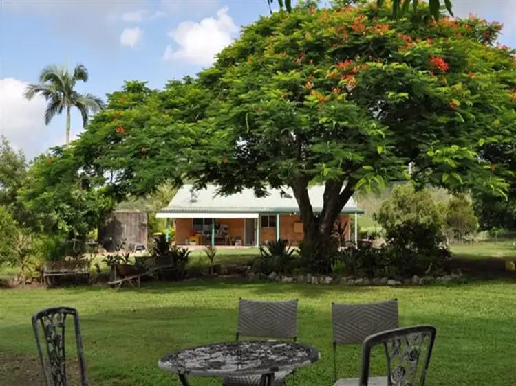 Main view of Homely rural property listing, 1139 Mt Martin Loop Road, Mount Martin QLD 4754