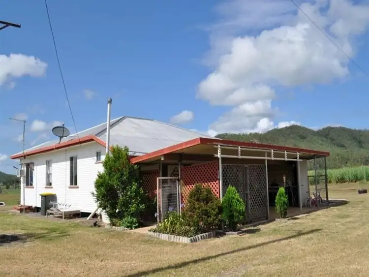 Third view of Homely rural property listing, 994 Mt Martin Loop Road, Mount Martin QLD 4754