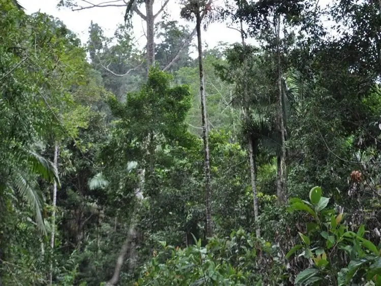 Second view of Homely rural property listing, 14 Boulder Road, Finch Hatton QLD 4756