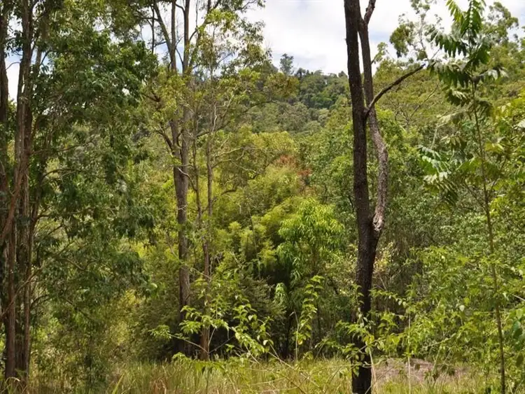 Third view of Homely rural property listing, 14 Boulder Road, Finch Hatton QLD 4756