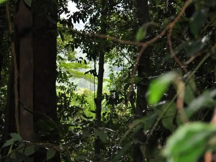 Fifth view of Homely rural property listing, 14 Boulder Road, Finch Hatton QLD 4756