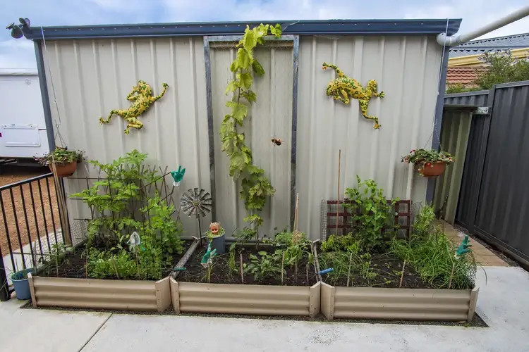 Fifth view of Homely house listing, 5 Matthews Place, Denmark WA 6333