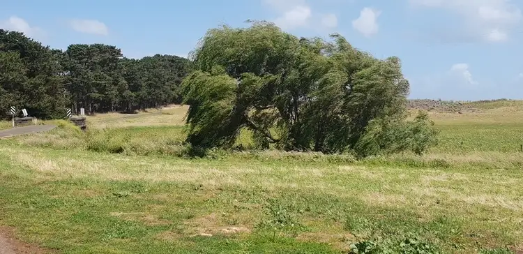 Fifth view of Homely land listing, 363 FINGERBOARD ROAD, Port Fairy VIC 3284
