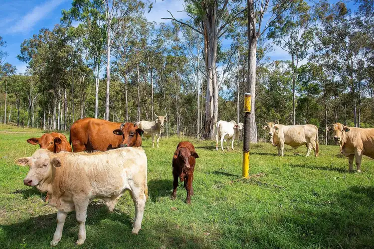 Second view of Homely rural property listing, Lot 173 Connors Road, Bauple QLD 4650