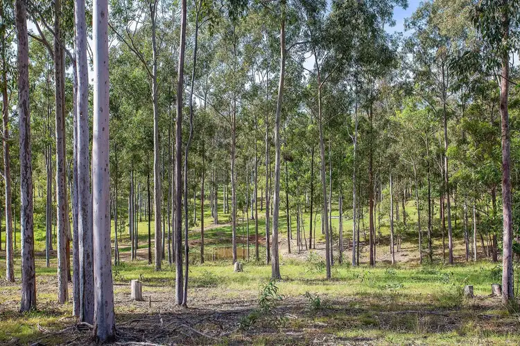 Fourth view of Homely rural property listing, Lot 173 Connors Road, Bauple QLD 4650