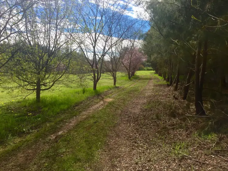 Lot 50 Arthur Street, Auburn SA 5451
