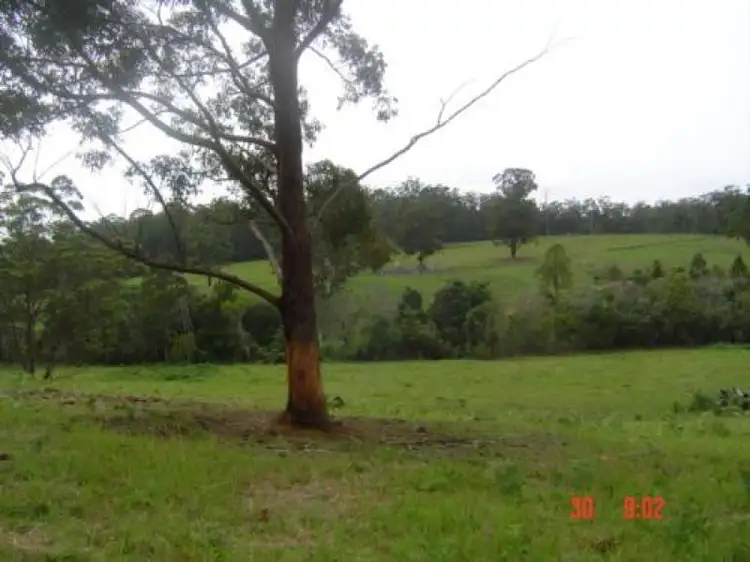 Fourth view of Homely rural property listing, Port Macquarie, Port Macquarie NSW 2444