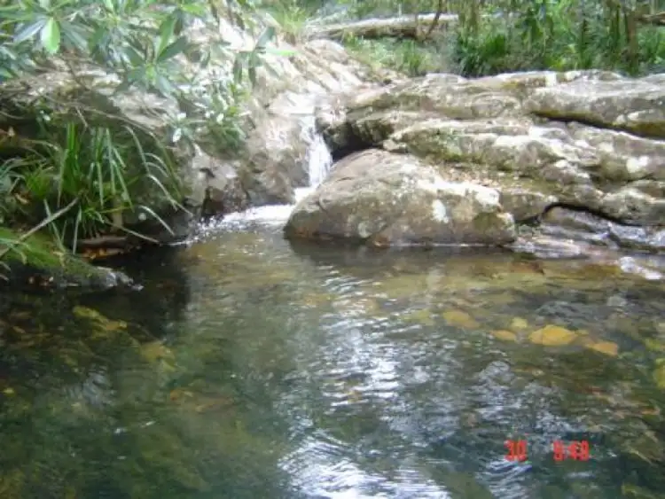 Fifth view of Homely rural property listing, Port Macquarie, Port Macquarie NSW 2444