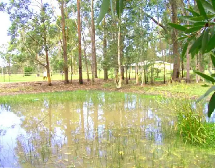 Fourth view of Homely rural property listing, 206 Wharf Rd, Johns River NSW 2443