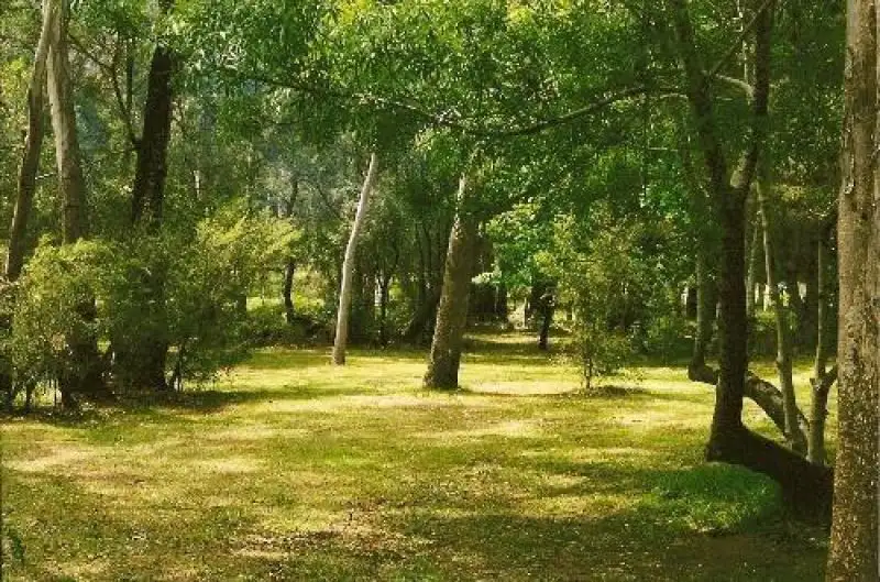 Main view of Homely rural property listing, Address available on request