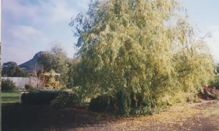 Fifth view of Homely house listing, Address available on request