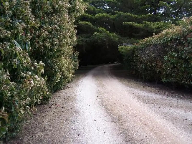 Main view of Homely rural property listing, Address available on request