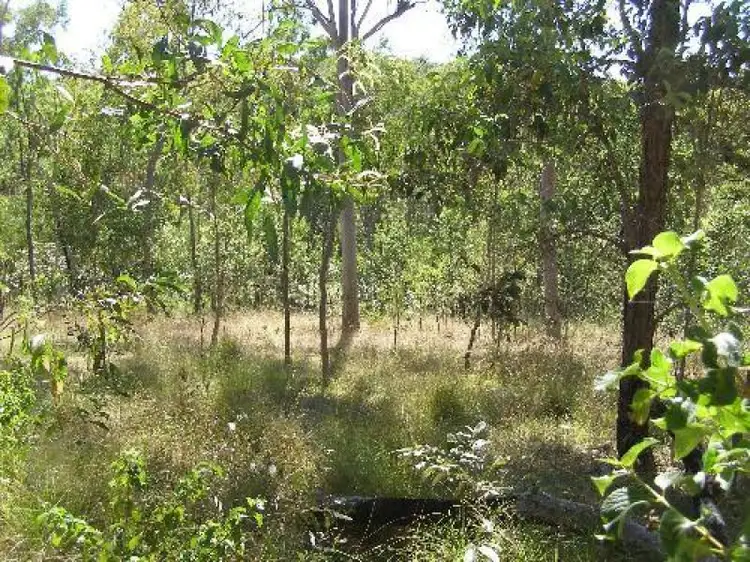 Fourth view of Homely rural property listing, Address available on request