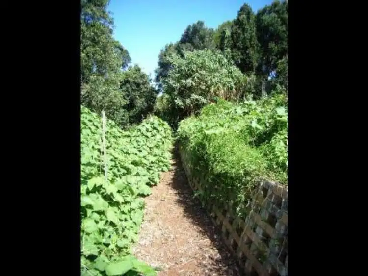 Seventh view of Homely rural property listing, Address available on request