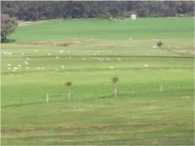 Third view of Homely rural property listing, Address available on request