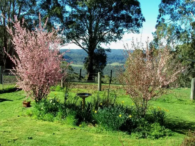 Fourth view of Homely rural property listing, Address available on request