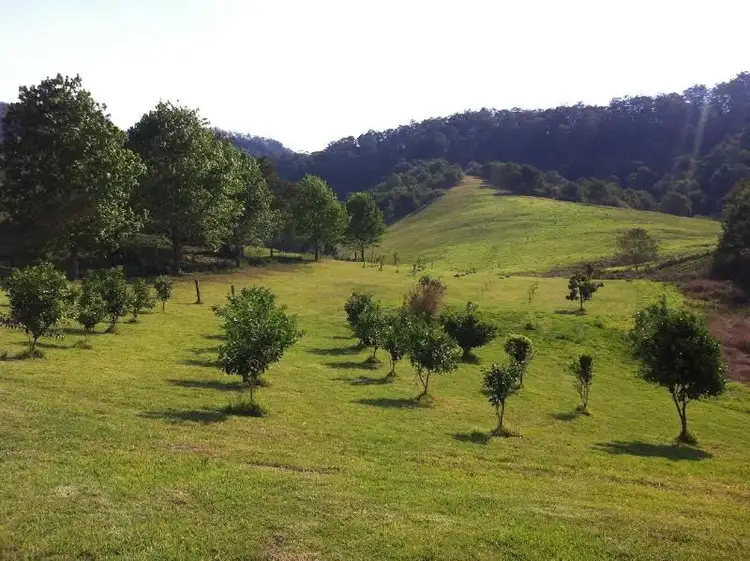 Main view of Homely rural property listing, Address available on request