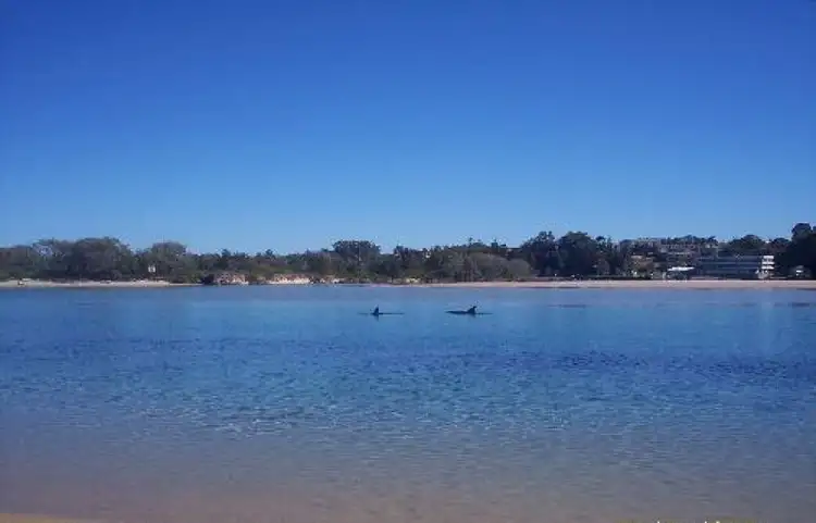 Seventh view of Homely apartment listing, Address available on request