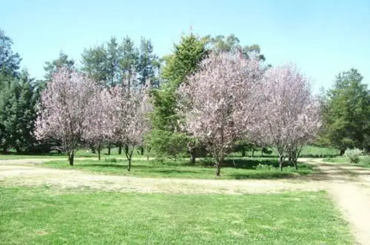 Second view of Homely rural property listing, Address available on request