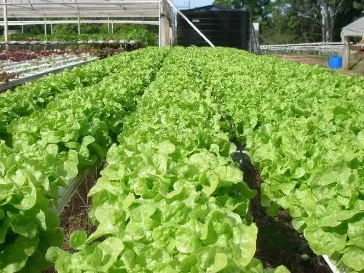 Sixth view of Homely rural property listing, Address available on request