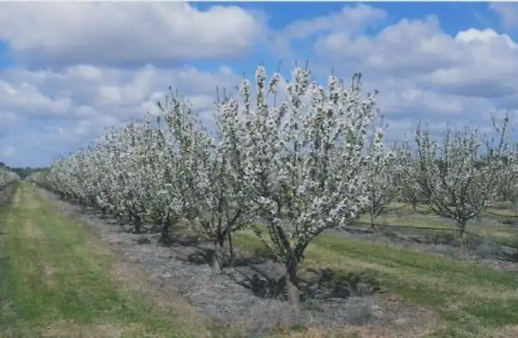 Third view of Homely rural property listing, Address available on request