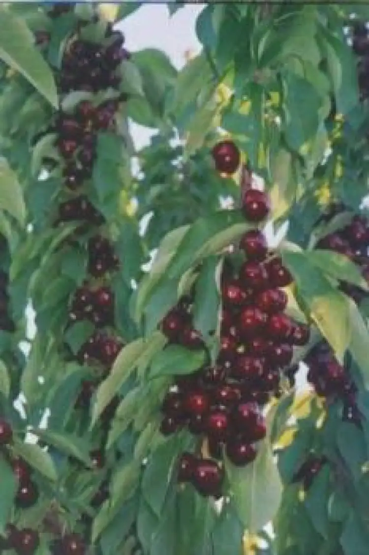 Fourth view of Homely rural property listing, Address available on request