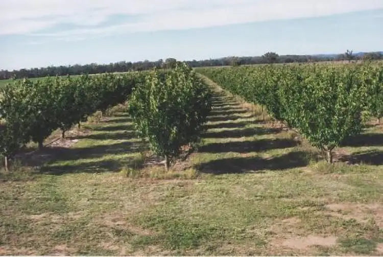 Fifth view of Homely rural property listing, Address available on request