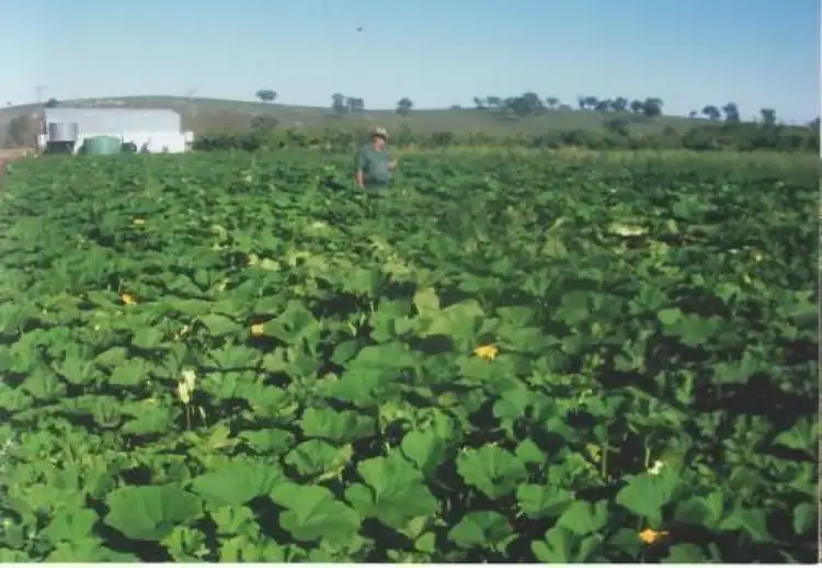 Sixth view of Homely rural property listing, Address available on request