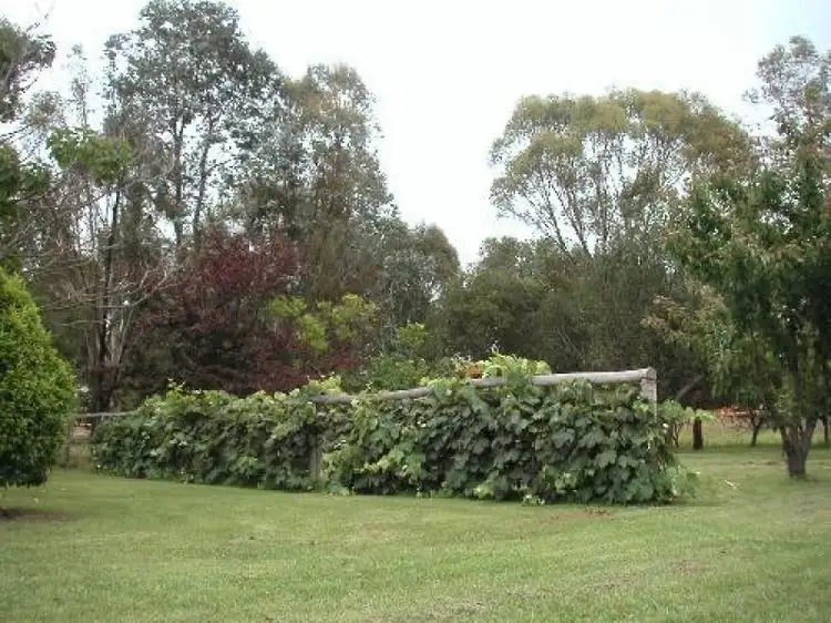 Fourth view of Homely rural property listing, Address available on request