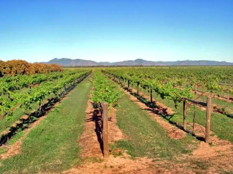 Third view of Homely rural property listing, Address available on request