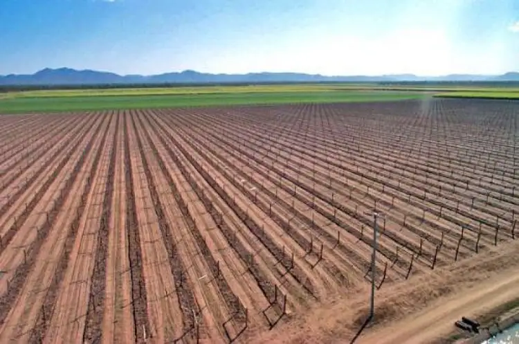 Fourth view of Homely rural property listing, Address available on request