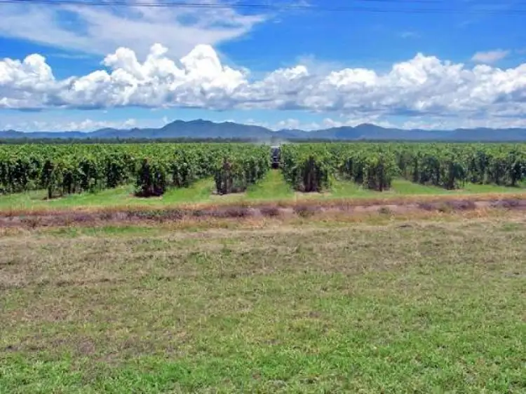 Fifth view of Homely rural property listing, Address available on request