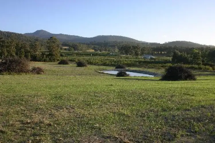 Fifth view of Homely rural property listing, Address available on request