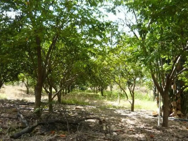 Seventh view of Homely rural property listing, Address available on request