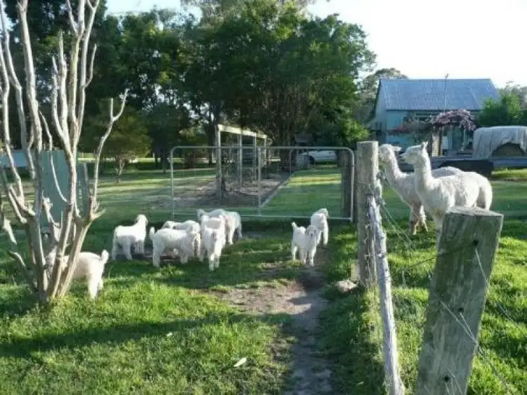 Seventh view of Homely rural property listing, Address available on request