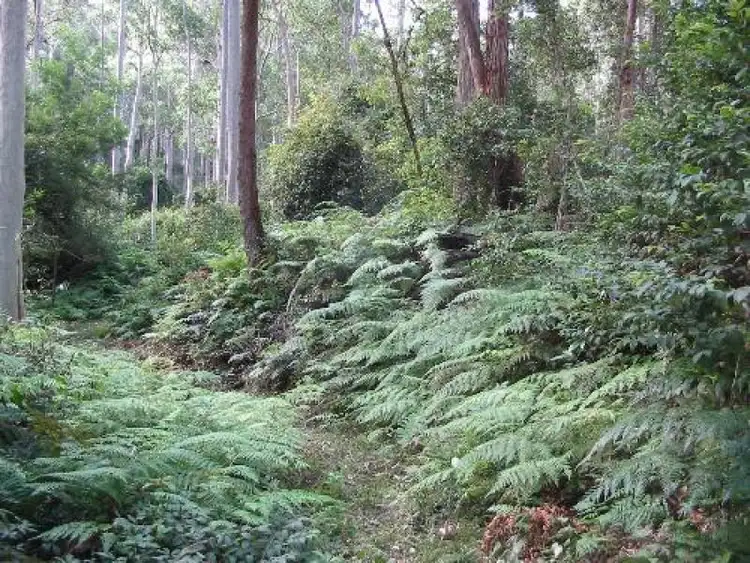 Second view of Homely land listing, Address available on request