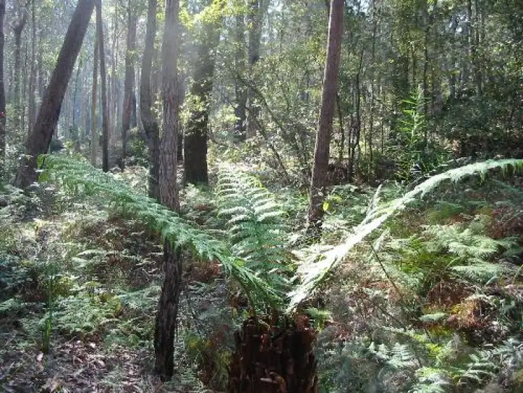 Fifth view of Homely land listing, Address available on request