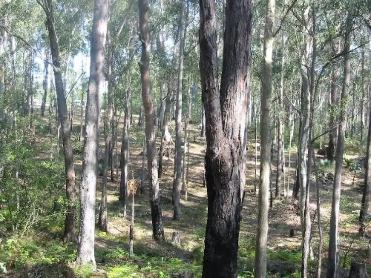 Sixth view of Homely land listing, Address available on request