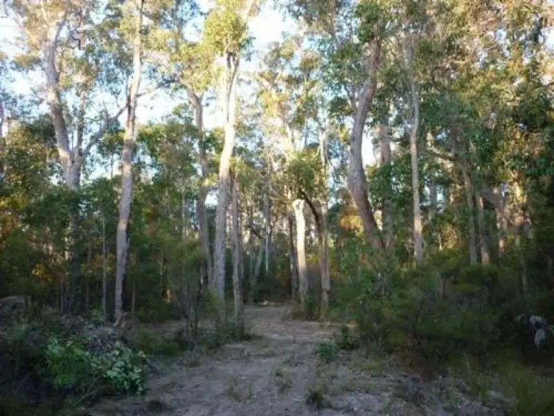 Main view of Homely rural property listing, Address available on request