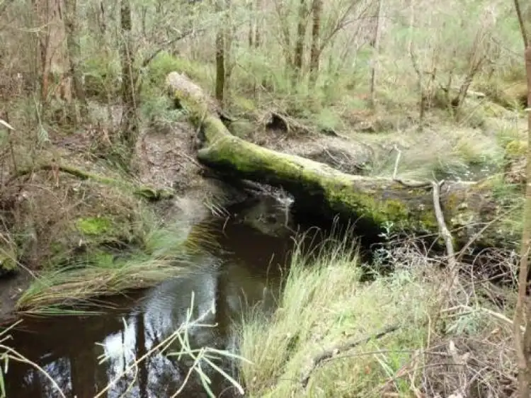 Third view of Homely rural property listing, Address available on request