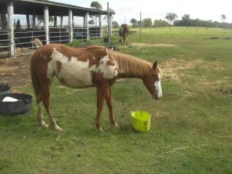 Second view of Homely rural property listing, Address available on request