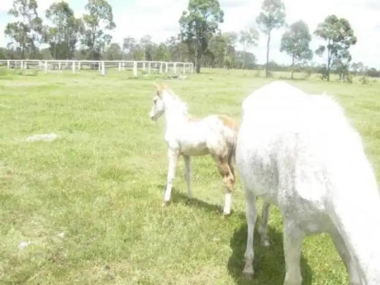 Third view of Homely rural property listing, Address available on request